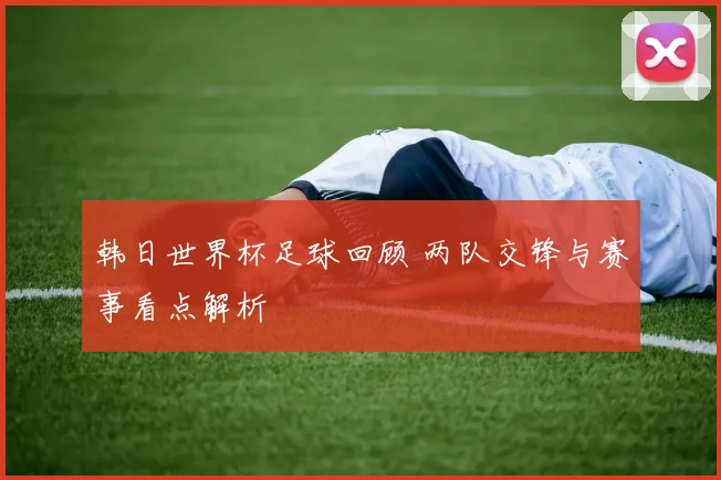 韩日世界杯足球回顾 两队交锋与赛事看点解析