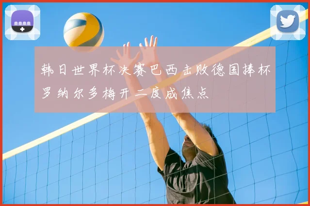 韩日世界杯决赛巴西击败德国捧杯罗纳尔多梅开二度成焦点