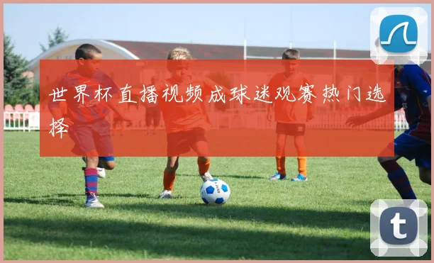 世界杯直播视频成球迷观赛热门选择